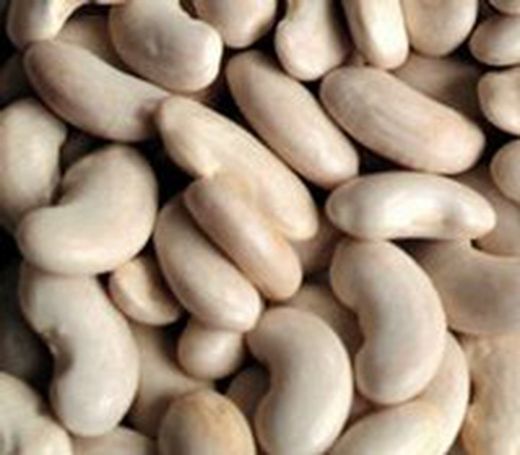 LAS LEGUMBRES POCAS GRASAS Y MUCHA PROTEINA