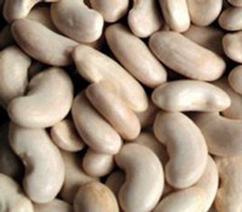 LAS LEGUMBRES POCAS GRASAS Y MUCHA PROTEINA