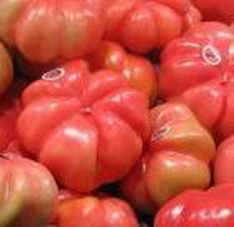 TOMATE DE MONTSERRAT