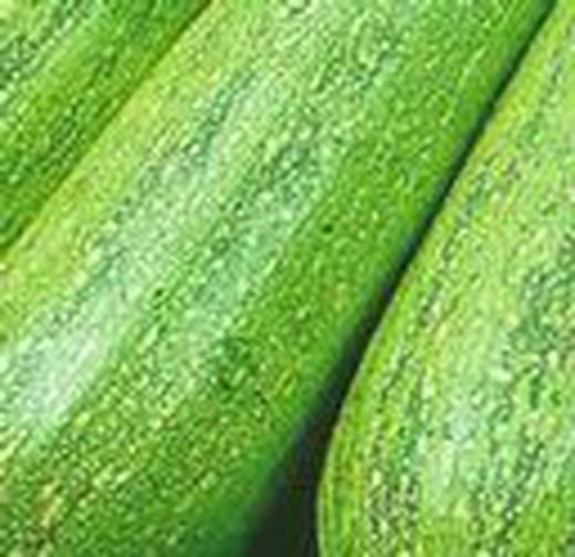 CALABACIN