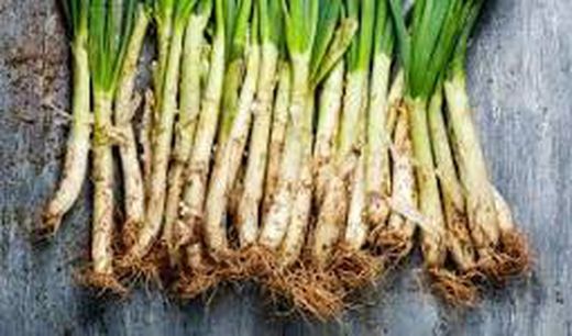 CALÇOTS