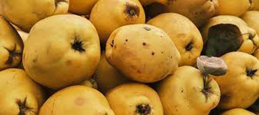 MEMBRILLO