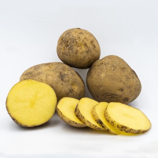 PATATA AGRIA