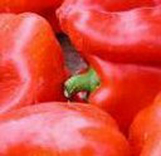 PIMIENTO ROJO