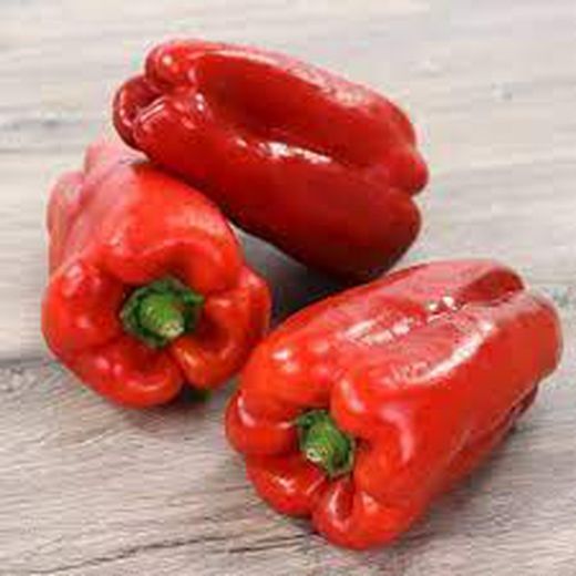 PIMIENTO ROJO