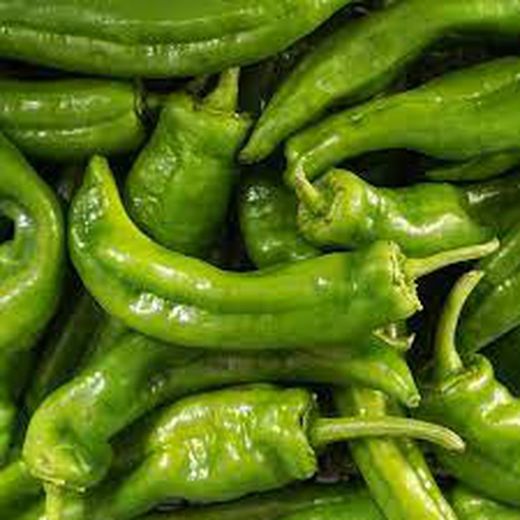 PIMIENTO VERDE