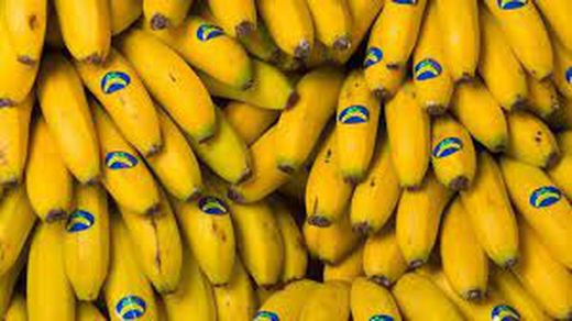PLATANO